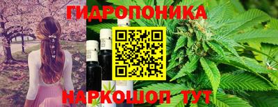 mdpv Лесосибирск