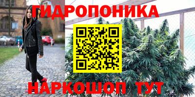 mdpv Лесосибирск