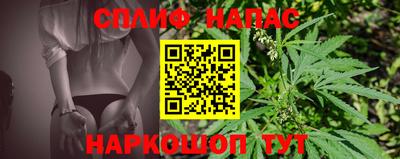 mdpv Лесосибирск