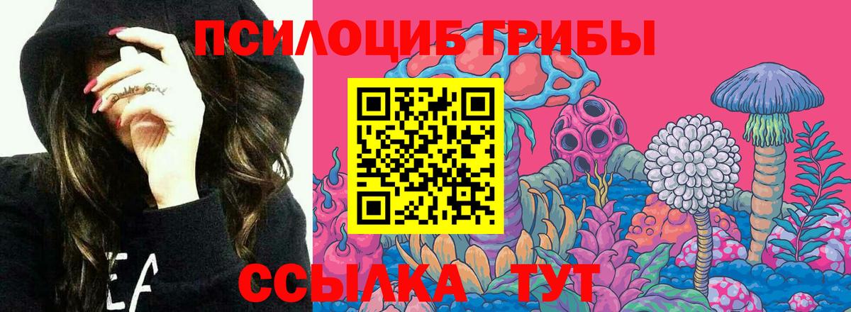Галлюциногенные грибы MAGIC MUSHROOMS Рязань